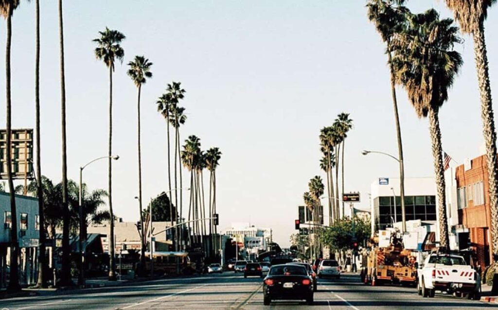 street with palms