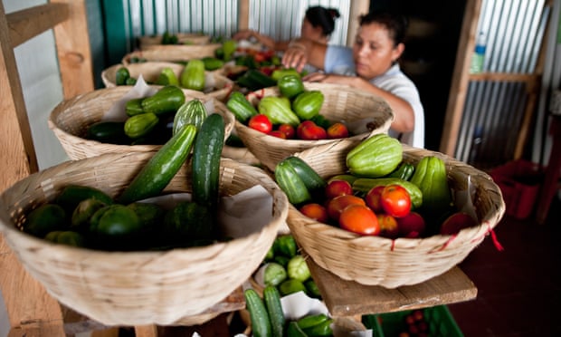 Small farmers have the answer to feeding the world. Why isn’t the UN listening?