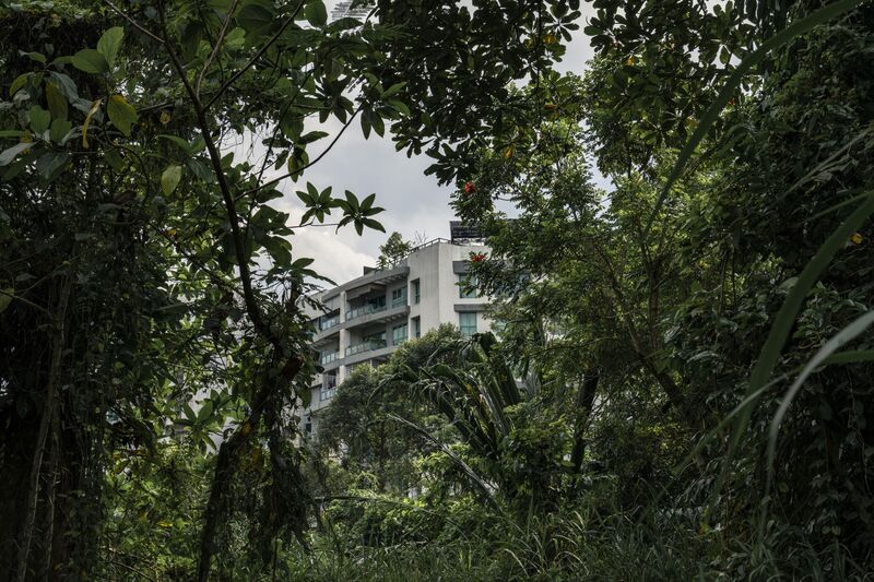 Why Thinking of Cities as Nature Is Key to Fighting Climate Change Why Thinking of Cities as Nature Is Key to Fighting Climate Change
