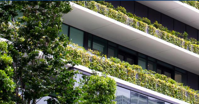 The Value of Incorporating Nature in Urban Infrastructure Planning