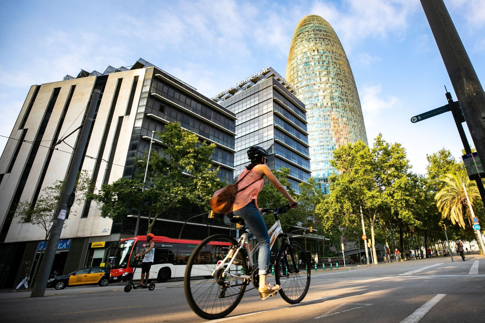 AMB. Smart Metropolis. How to build-up a smart public organization on different critical areas