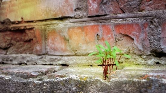 PODCAST 1×01 – Are our cities more resilient than ever?