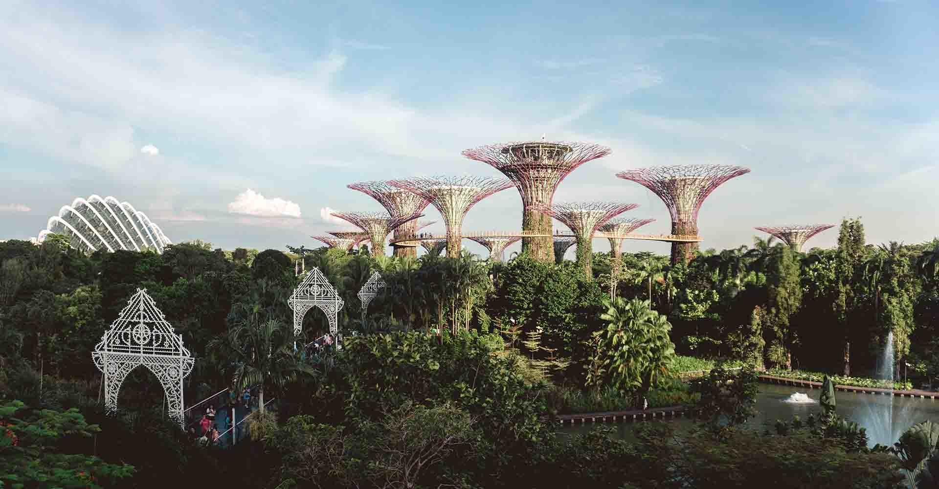 Caso de éxito: la transformación de Singapur en una ciudad jardín sostenible