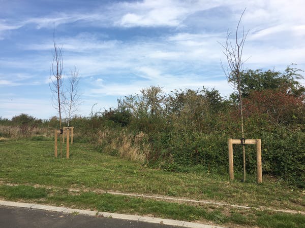 Why political decision-making is failing our urban green spaces