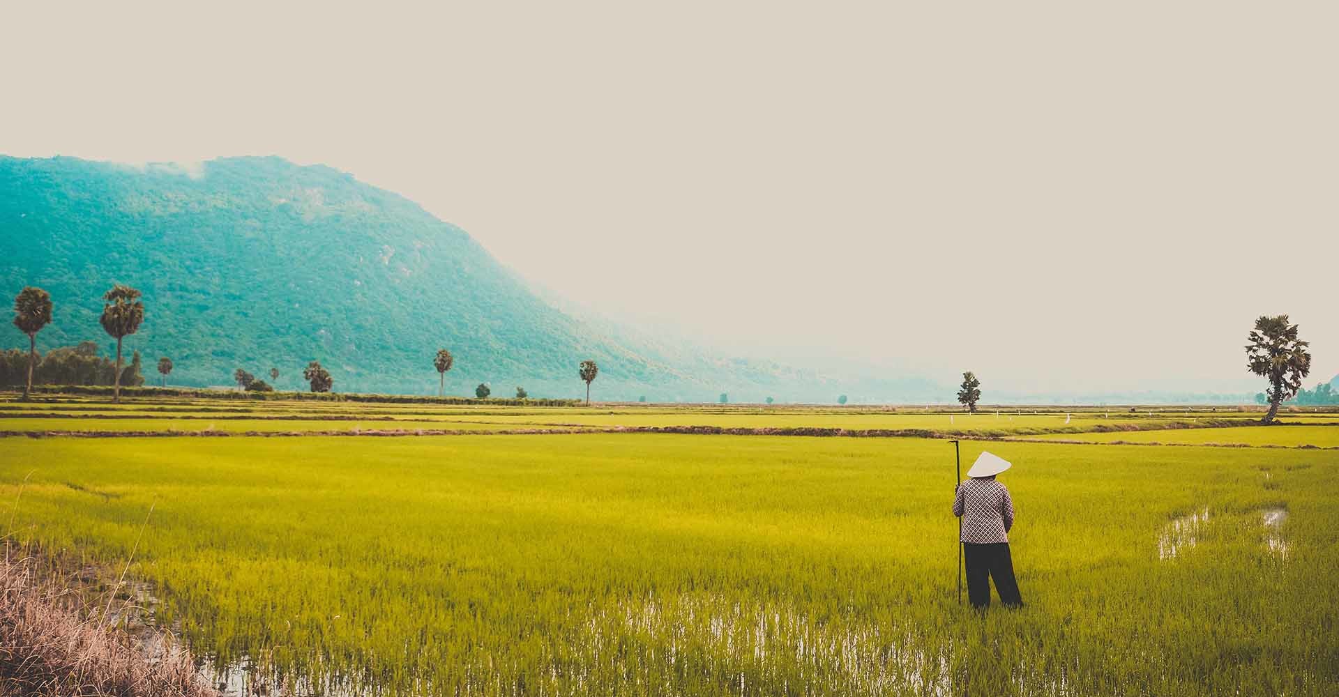 Smart agriculture to tackle climate change