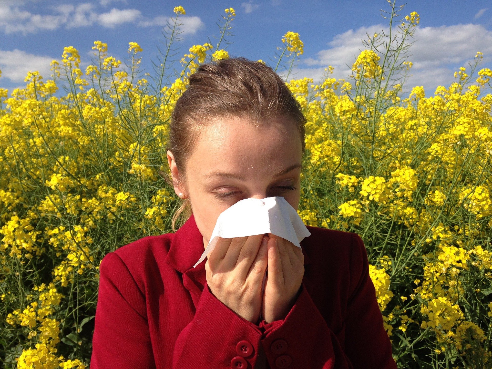 Seasonal allergies: a clear example of bad urban planning