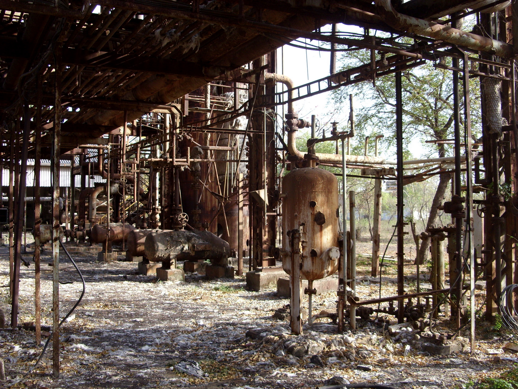 Cómo Bhopal sigue haciendo frente a uno de los mayores desastres industriales de la historia