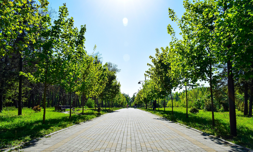 Post-lockdown, city-dwellers treasure our urban green spaces more than ever