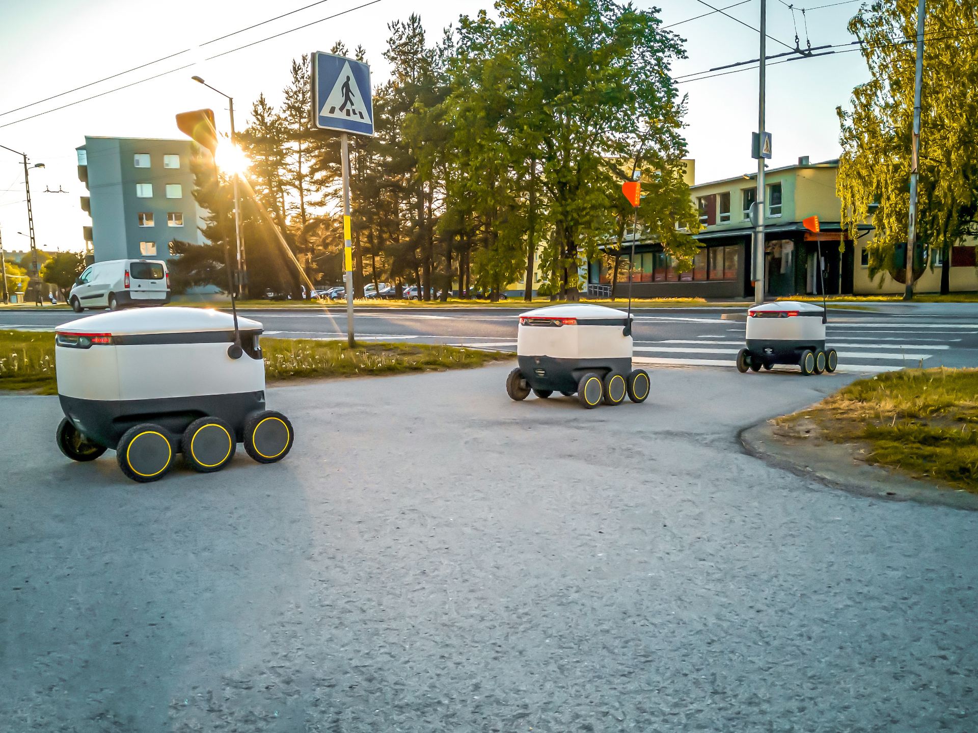 Shopping with delivery robots arrives in cities