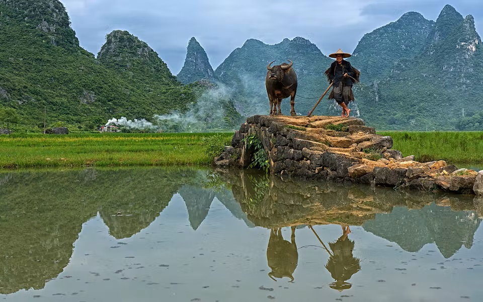 China’s rice farming trials cut methane emissions and increase yields