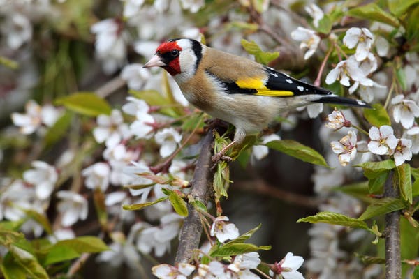 Parks and green spaces helped us get through lockdown – but not everyone has equal access