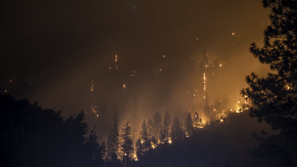 Los efectos de los incendios forestales en las ciudades