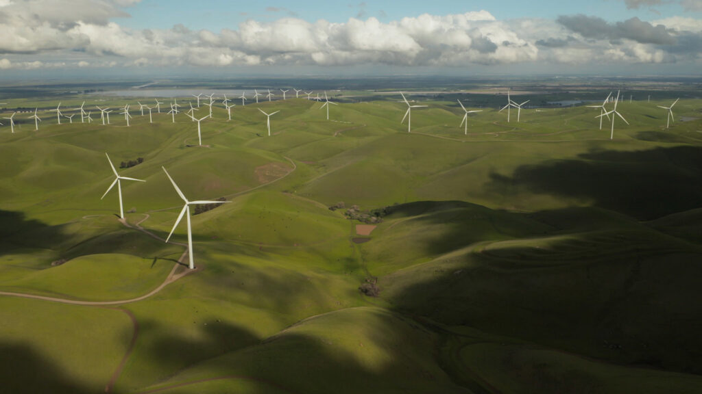 foto-economia-verde