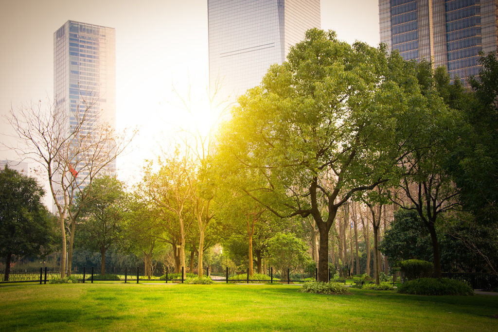 green-city-and-park