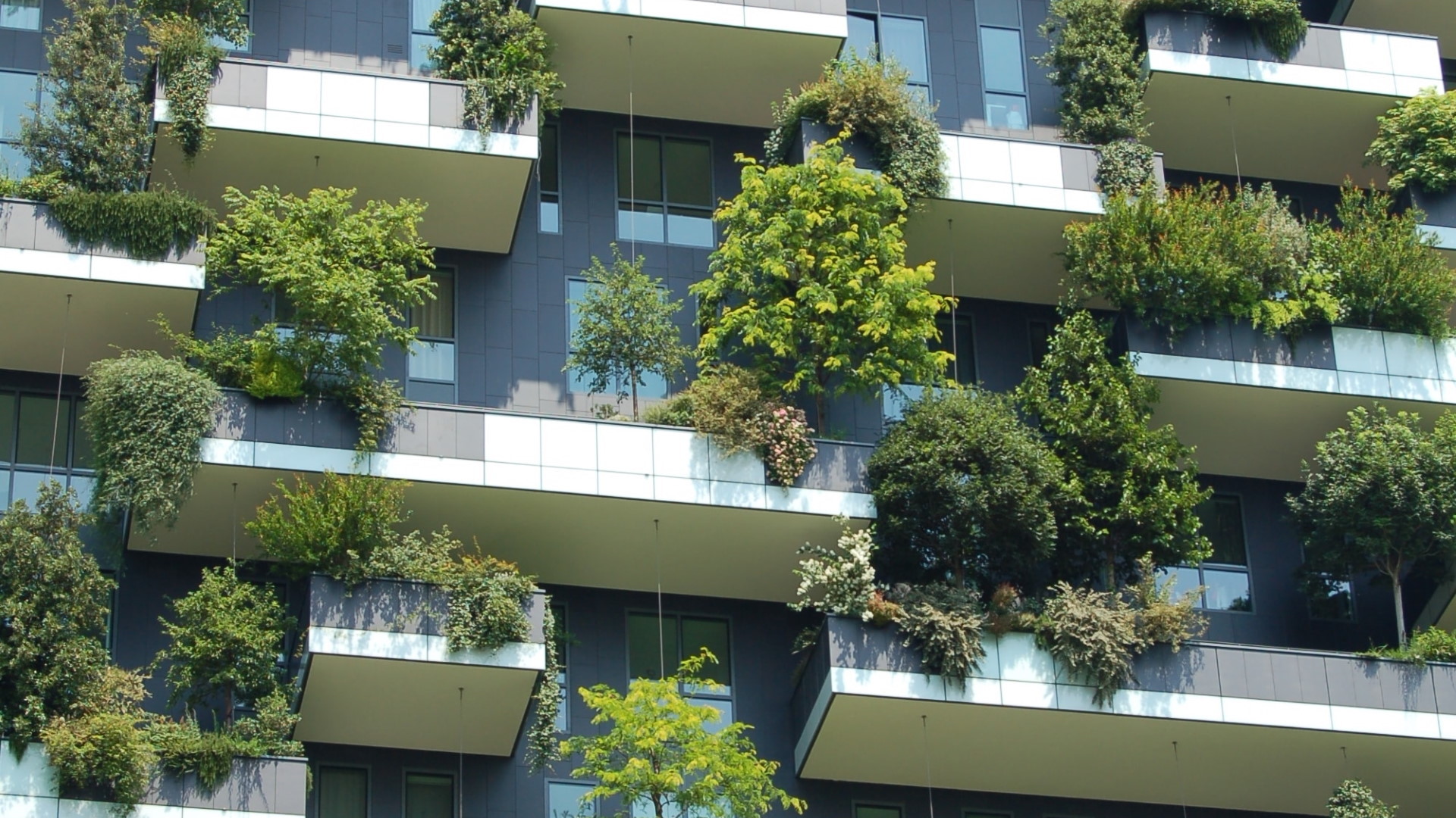 Las ciudades: el insospechado motor de una revolución verde global