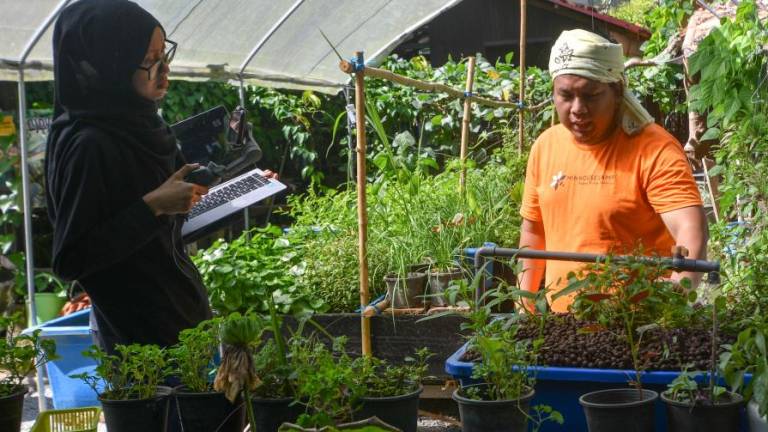 Turning empty spaces into urban farms